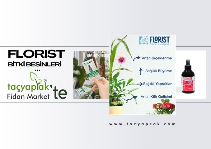 Florist Bitki Besini Gübre