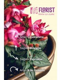 Florıst Çiçekli Bitkiler Sıvı Bitki Besni