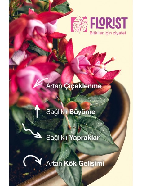 Florıst Çiçekli Bitkiler Sıvı Bitki Besni