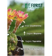 Florıst Kaktus Sukulent Sıvı Bitki Besini
