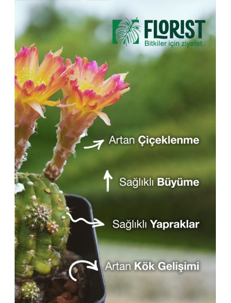 Florıst Kaktus Sukulent Sıvı Bitki Besini
