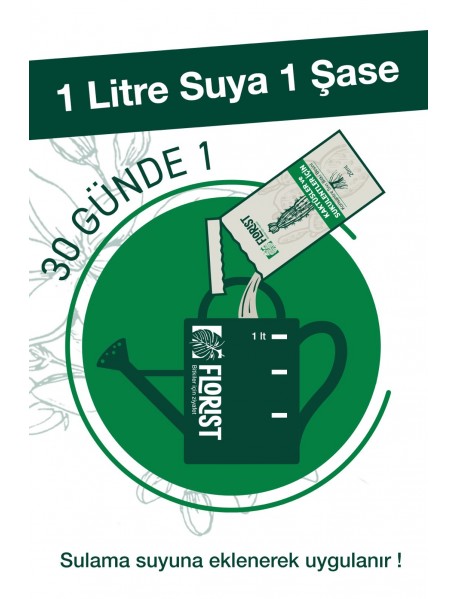 Florıst Kaktus Sukulent Sıvı Bitki Besini