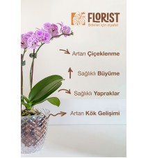 Florıst Orkide Sıvı Bitki Besini