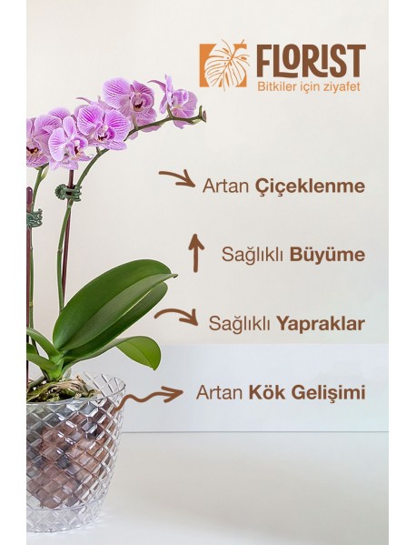 Florıst Orkide Sıvı Bitki Besini