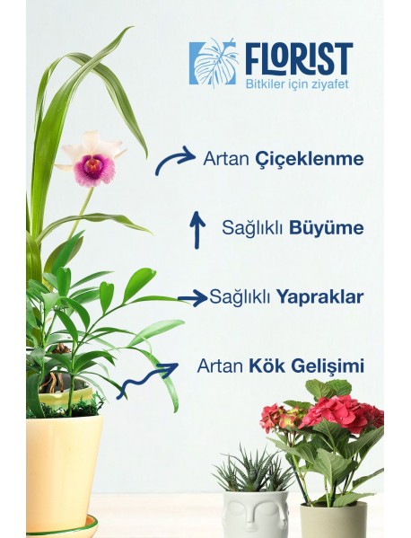 Florıst Tüm Bitkiler Sıvı Bitki Besini