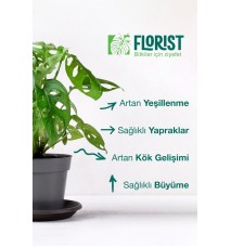 Florıst Yeşil Yapraklı Bitkiler Sıvı Bitki Besini