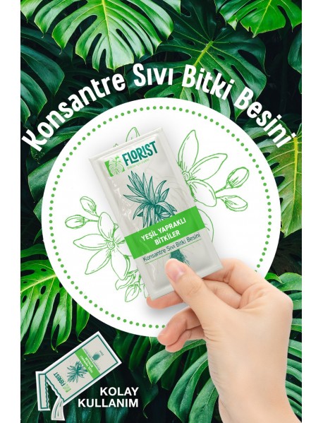 Florıst Yeşil Yapraklı Bitkiler Sıvı Bitki Besini