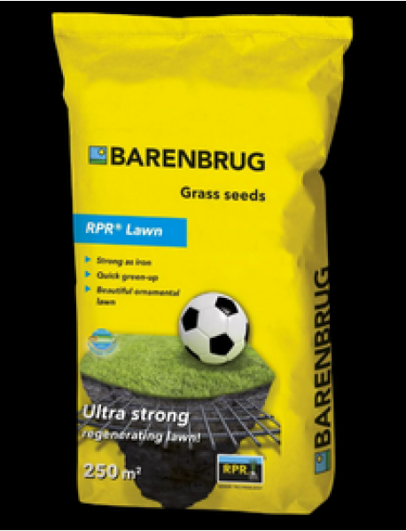 Barenbrug Resilient Blue Sport Çim Tohumu 5 kg