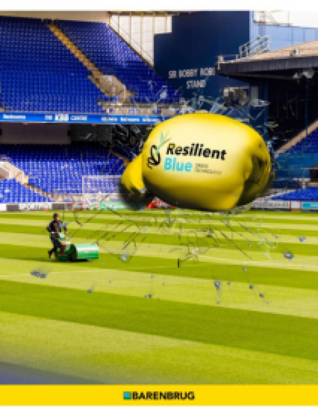 Barenbrug Resilient Blue Sport Çim Tohumu 5 kg Barenbrug Resilient Blue Sport Çim Tohumu 5 kg