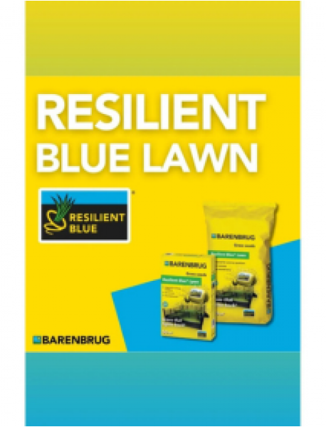 Barenbrug Resilient Blue Sport Çim Tohumu 5 kg Barenbrug Resilient Blue Sport Çim Tohumu 5 kg
