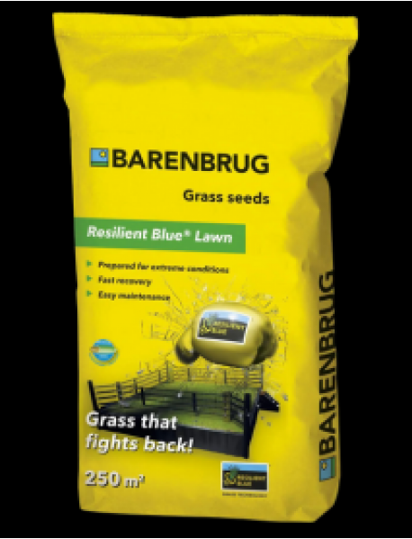 Barenbrug R.P.R. (Regenerating Perennial Ryegrass) Çim Tohumu 5kg