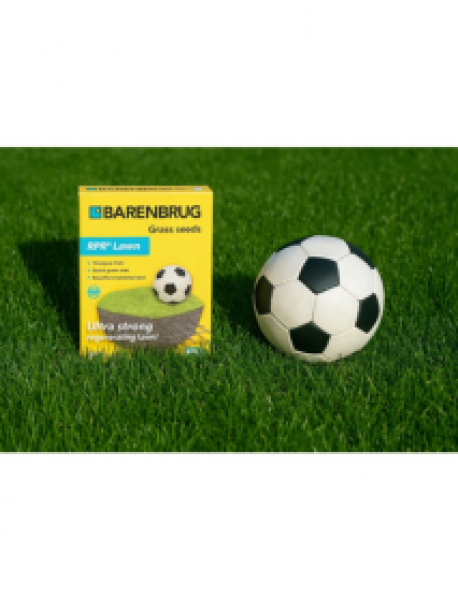 Barenbrug R.P.R. (Regenerating Perennial Ryegrass) Çim Tohumu 1kg Barenbrug R.P.R. (Regenerating Perennial Ryegrass) Çim Tohumu 1kg
