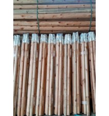 Fidan Destek Kazığı