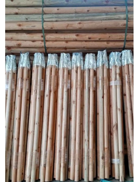 Fidan Destek Kazığı