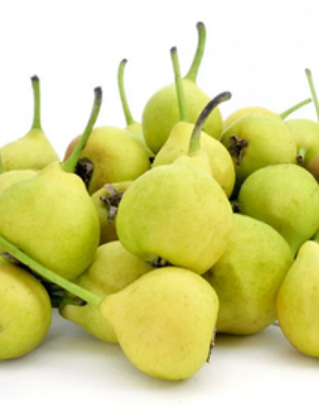 Bal Armut Fidanı (Tüplü/Sakslı) Bal Armut Fidanı (Tüplü/Sakslı)