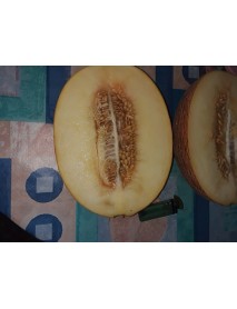 Ananas Kavun Tohumu